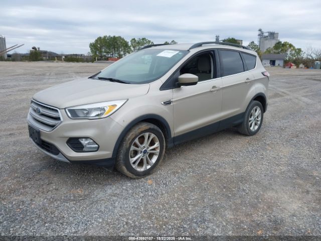 Ford Escape Se Image 3
