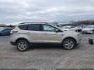 Ford Escape Se Image 10