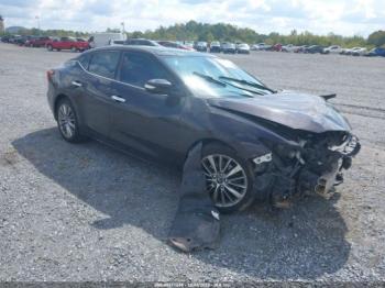  Salvage Nissan Maxima