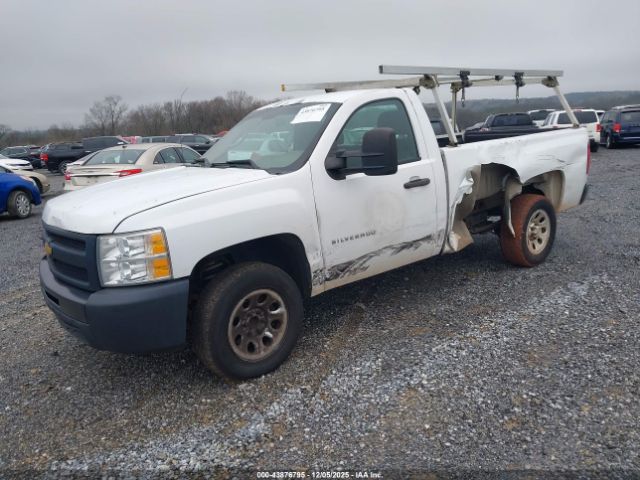 Chevrolet Silverado 1500 Work Truck Image 10