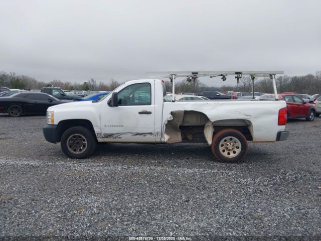 Chevrolet Silverado 1500 Work Truck Image 8